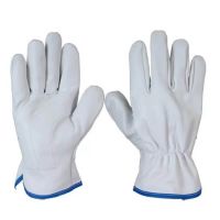 Luva de Vaqueta Punho 07cm Provest