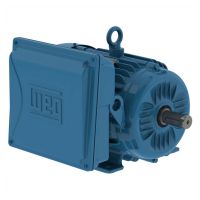 Motor Monofásico 5CV 2 Polos Fechado 220V IP55 Weg