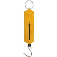 Balança Tipo Peixeiro 25kg Vonder