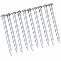 Prego de Aço Com Cabeça 2,50x20mm Bemfixa