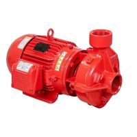 Bomba 12,5CV FNI2-Bl RT 190mm 220/380V Trifásico Famac