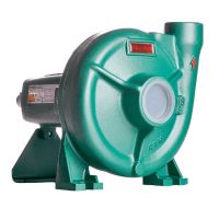 Bomba THS-18 Mancal 10cv Thebe