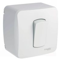 Caixa Sobrepor 1 Interruptor Simples 10A Schneider Eletric