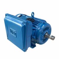 Motor Monofásico 3CV 2 Polos Fechado 220/440V IP55 Weg