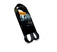 Correia Automotiva 7PK1580 Sama