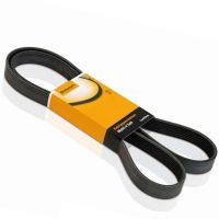 Correia Automotiva 8PK1700 Sama