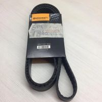 Correia Automotiva 8PK1740 Sama   