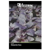 Semente de Ervas de Manjericão Roxo 100Mg Feltrin
