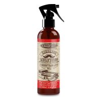 Limpador Multiuso APC Men 250ml CentralSul