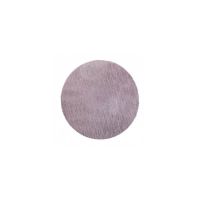 Lixa Disco Abrasivo Telado 220mm Grão 180 Atlas