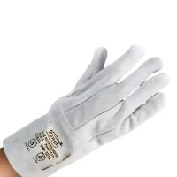 Luva de Raspa Com Punho de 15 cm - Zanel