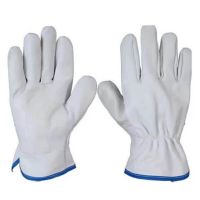 Luva De Segurança Vaqueta 07cm GB Luvas
