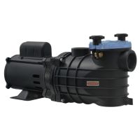 Motobomba 1/3CV 127/220-254V EKO para Piscina Schneider