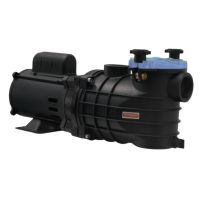 Motobomba 1CV 110/220-254V para Pisicina EKO Schneider