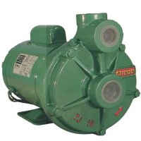 Motobomba 1CV TJ 16/30 I NR 220V M Weg Thebe