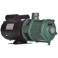 Motobomba 2Cv P-11/4 Nr 220/440V Monofásico Weg Thebe