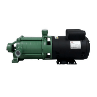 Motobomba 3CV P-11/5 220/440V Monofásica Weg Thebe