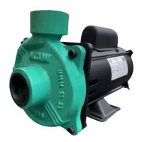 Motobomba Centrífuga EE 1.5 2,0cv 127/220V-254V Monofásica WDM