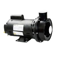 Bomba Para Hidromassagem Monofásico Chs-17 2,0Cv de 127v/220v Dancor