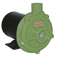 Motobomba Monofásico 1,0CV BC-92S 1C 127/220V Schneider