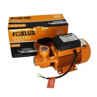 Motobomba Periférica 1CV Bivolt Foxlux