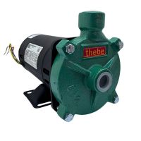 Motobomba 1/2" CV B-12 127/220-254V RT. 112X2.5 NR THEBE