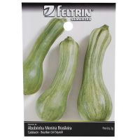 Semente de Hortaliça Abobrinha Menina Brasileira Precoce 2G Feltrin