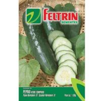 Semente de Hortaliça Pepino Verde Comprido 1G Feltrin