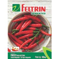 Semente de Hortaliça Pimenta Malaguetinha 400Mg Feltrin