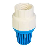 Válvula de Sucção para Poço 2 Pol. Krona