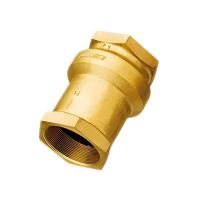 Válvula De Retenção Vertical 1” DN25 Dulong