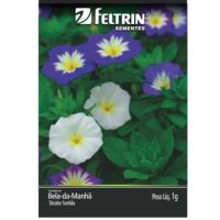 Semente Flor Bela da Manhã 1G Feltrin