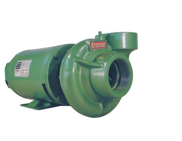 Motobomba 3cv THLI-13 220/440V Monofásico RT.118X13 IP55 MT Thebe