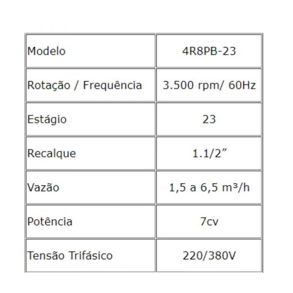 Bomba Submersa 7CV 380V Trifásica 4R8PB-23 450/007/38TR Com Painel Leão 