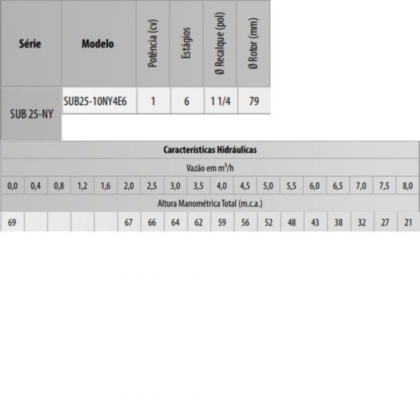 Motobomba Submersa Trifásica SUB25-10NY4E6 1,0CV 380V Schneider