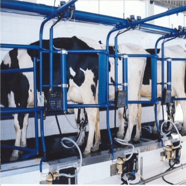 1 Metro de Mangueira Atóxica Ordenha 15,5X5,2mm Plasbohn