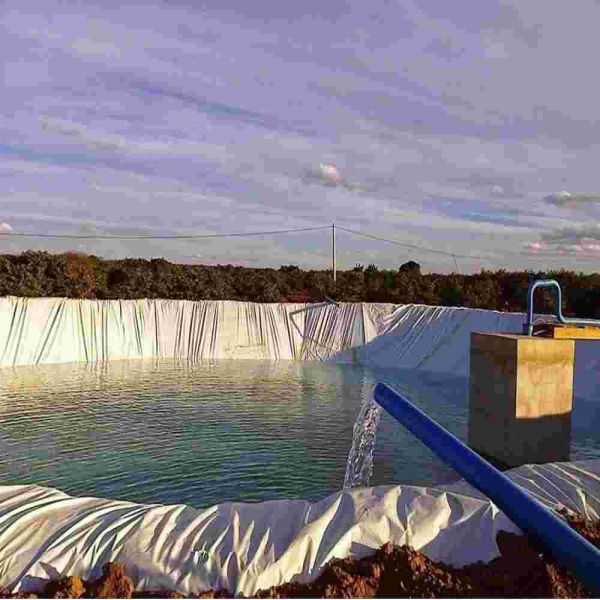 1 Metro de Lona Dupla Face Para Silo 100 MIC 8X1M Lonax 