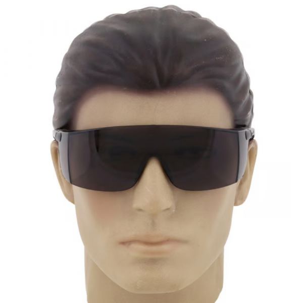 Óculos Sky Fumê Delta Plus Pro Safety