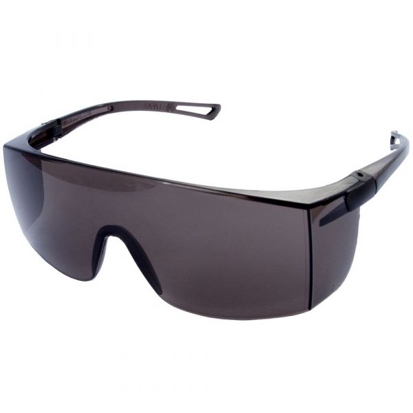 Óculos Sky Fumê Delta Plus Pro Safety