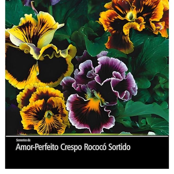 Semente Flor Amor Perfeito Sortido 100 MG Feltrin