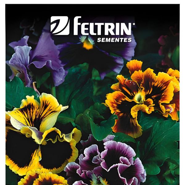 Semente Flor Amor Perfeito Sortido 100 MG Feltrin