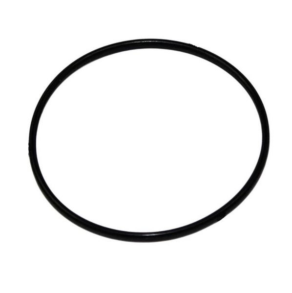 Anel de Vedação Cuba Carburador 2,5HP Argon