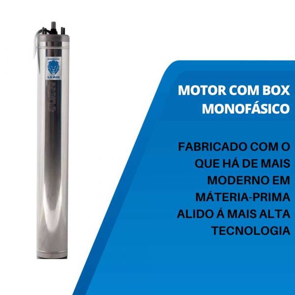 Motor Com Box Monofásico 2,0CV 230V 230/002/23 Schneider Leão