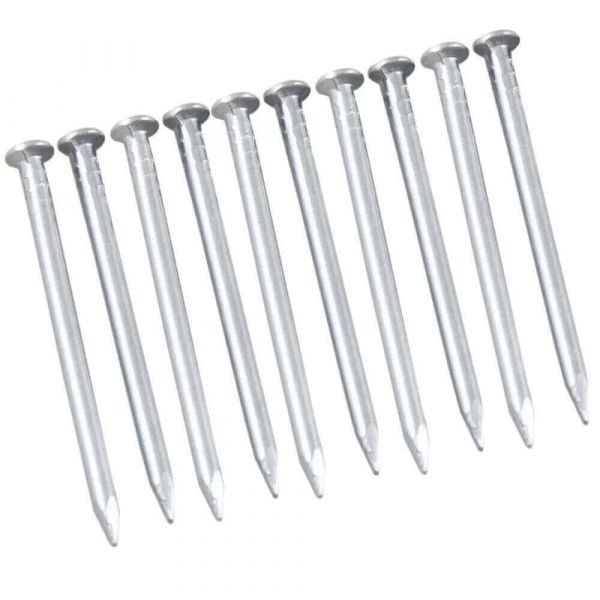 Prego de Aço Com Cabeça 2,00x30mm Bemfixa