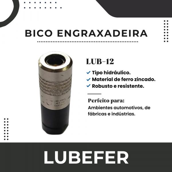 Bico Engraxadeira Acoplador com 4 Garras LUB-12 Lubefer