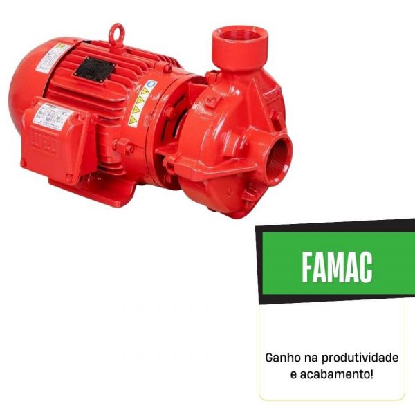 Bomba 12,5CV FNI2-Bl RT 190mm 220/380V Trifásico Famac