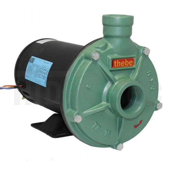 Motobomba 1,0CV 127/220-254VM/TH-16-I-NR Thebe