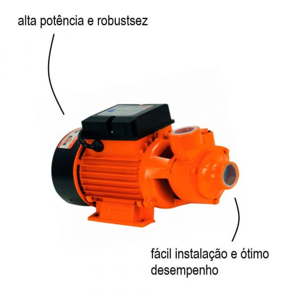 Bomba D’Água Periférica 1HP Bivolt BP1000 Intech