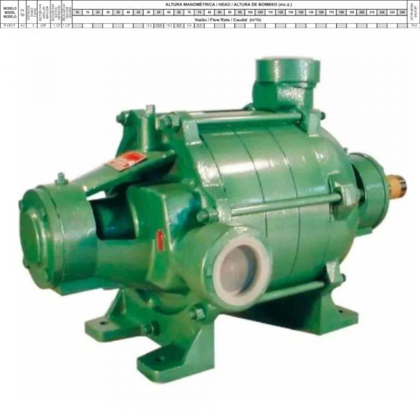 Bomba Multiestágio P-15/3 F 4,0CV 380V Trifásica WEG Thebe