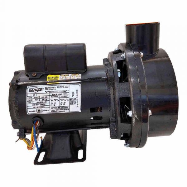 Bomba Para Hidromassagem Monofásico Chs-22 2,0Cv de 127v/220v Dancor